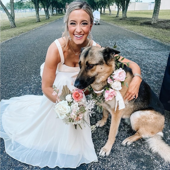 Meet your Posher, Cassidy - Picture 1 of 1